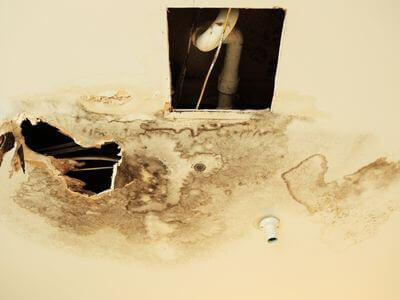 Professional mold removal services in Hempstead